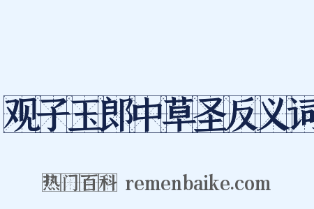 观子玉郎中草圣反义词是什么意思的图片